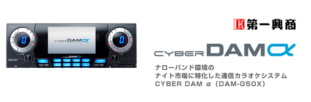 ꋻ@DAM
