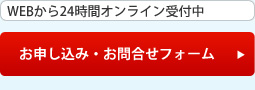 WEB24ԃICt